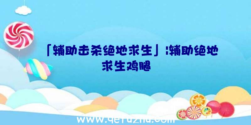 「辅助击杀绝地求生」|辅助绝地求生鸡腿